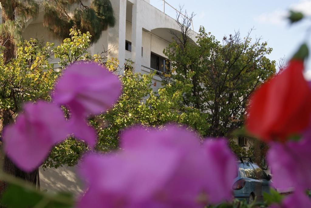 Thalassa Studios Faliraki Exterior photo