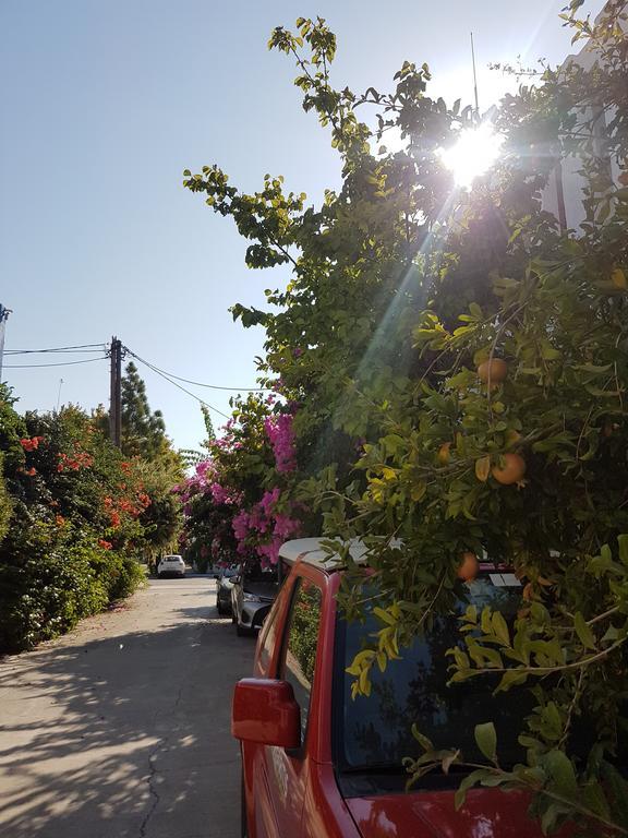 Thalassa Studios Faliraki Exterior photo