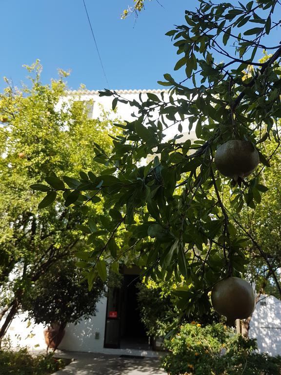 Thalassa Studios Faliraki Exterior photo