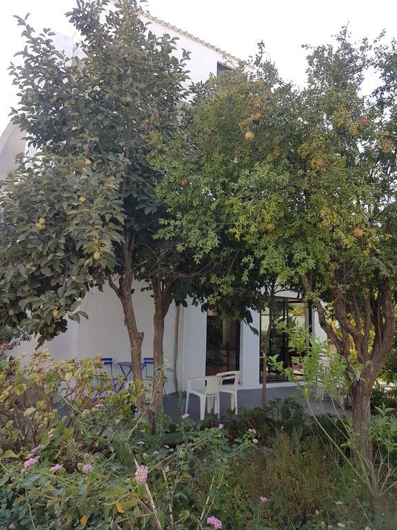 Thalassa Studios Faliraki Exterior photo