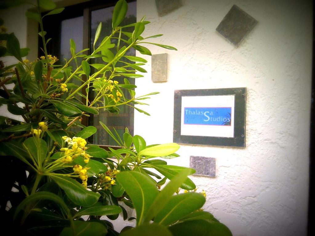Thalassa Studios Faliraki Exterior photo